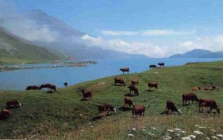 Il lago del Moncenisio