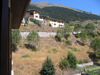 View from the flat